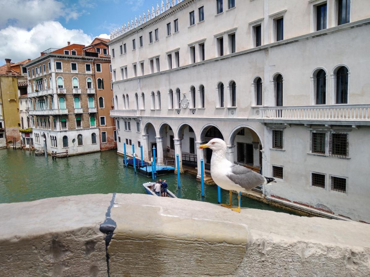 Love Island Venice Luaran gambar